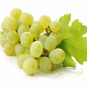 Fehér nagyszemű (magyar)