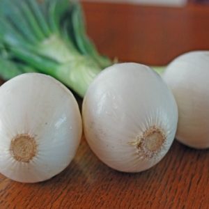 Főzőhagyma