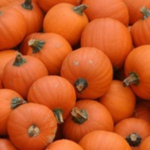 Halloween-tök