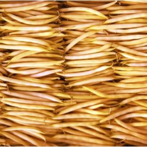 Zöldbab - sárga hüvelyű (magyar)