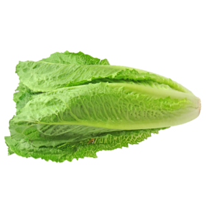 Bébi római saláta (6db-os csomag)